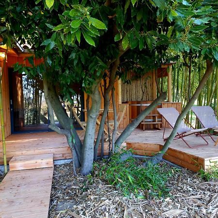 Maisonette Et Spa Bois La Bégude-de-Mazenc Extérieur photo