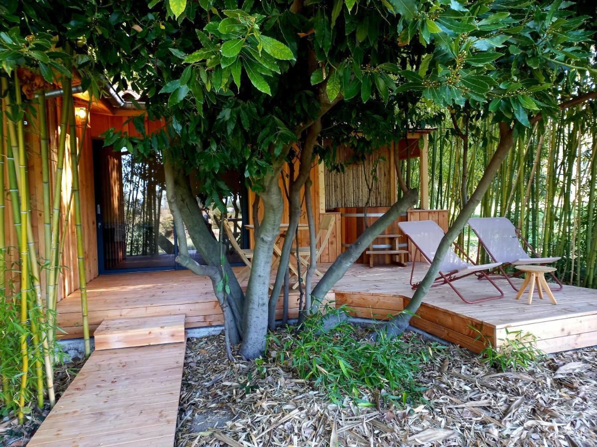 Maisonette Et Spa Bois La Bégude-de-Mazenc Extérieur photo